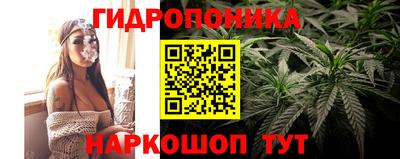 стафф Конаково