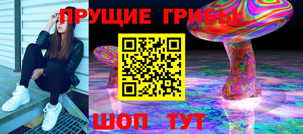Фрязино  хочу   Вход с VPN  Галлюциногенные грибы Psilocybe 