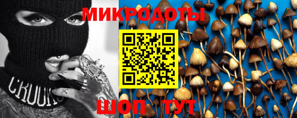 Псилоцибиновые грибы Magic Shrooms Фрязино